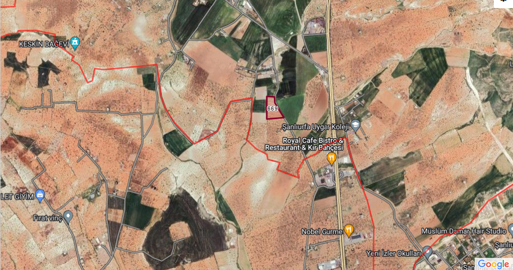 KARAKÖPRÜ KIZLARDA BAĞ VE FISTIKLIK 14.000 M2 3,000 TLM2