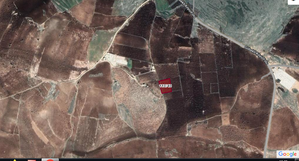 KARAKÖPRÜ YUKARIGÖBEKLİDE BAĞ FISTIKLIK 5.476 M2 1.000 TLM2