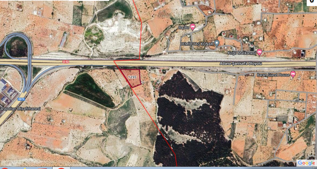 KARAKÖPRÜ GÖLPINARDA FISTIKLIK 11.649 M2DEN 4000 M2 SATILIKTIR 3000 TLM2