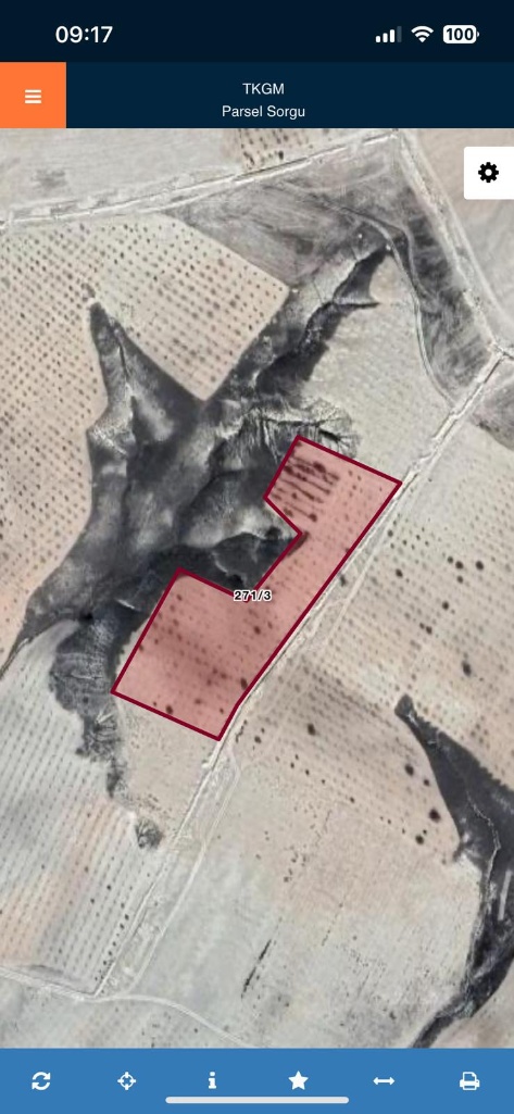 KARAKÖPRÜ BÜYÜKÖRDEKTE FISTIKLIK 15.533 M2 270 TLM2