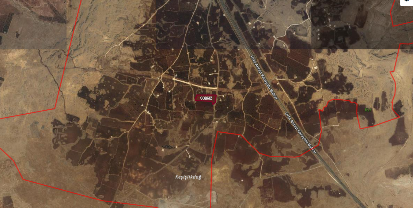 KARAKÖPRÜ BÜYÜKALANLIDA FISTIKLIK 14.562 M2 1.300 TLM2