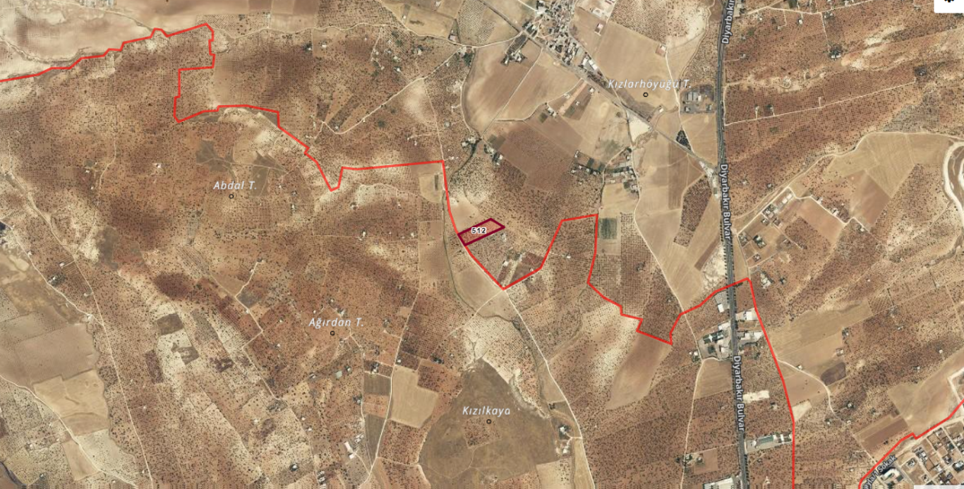 KARAKÖPRÜ KIZLARDA BAĞ VE FISTIKLIK 10.000 M2 2.750 TLM2