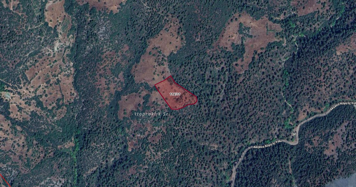 BURSA BÜYÜKORHAN ÇÖKENEDE 10.567M2 TARLA 