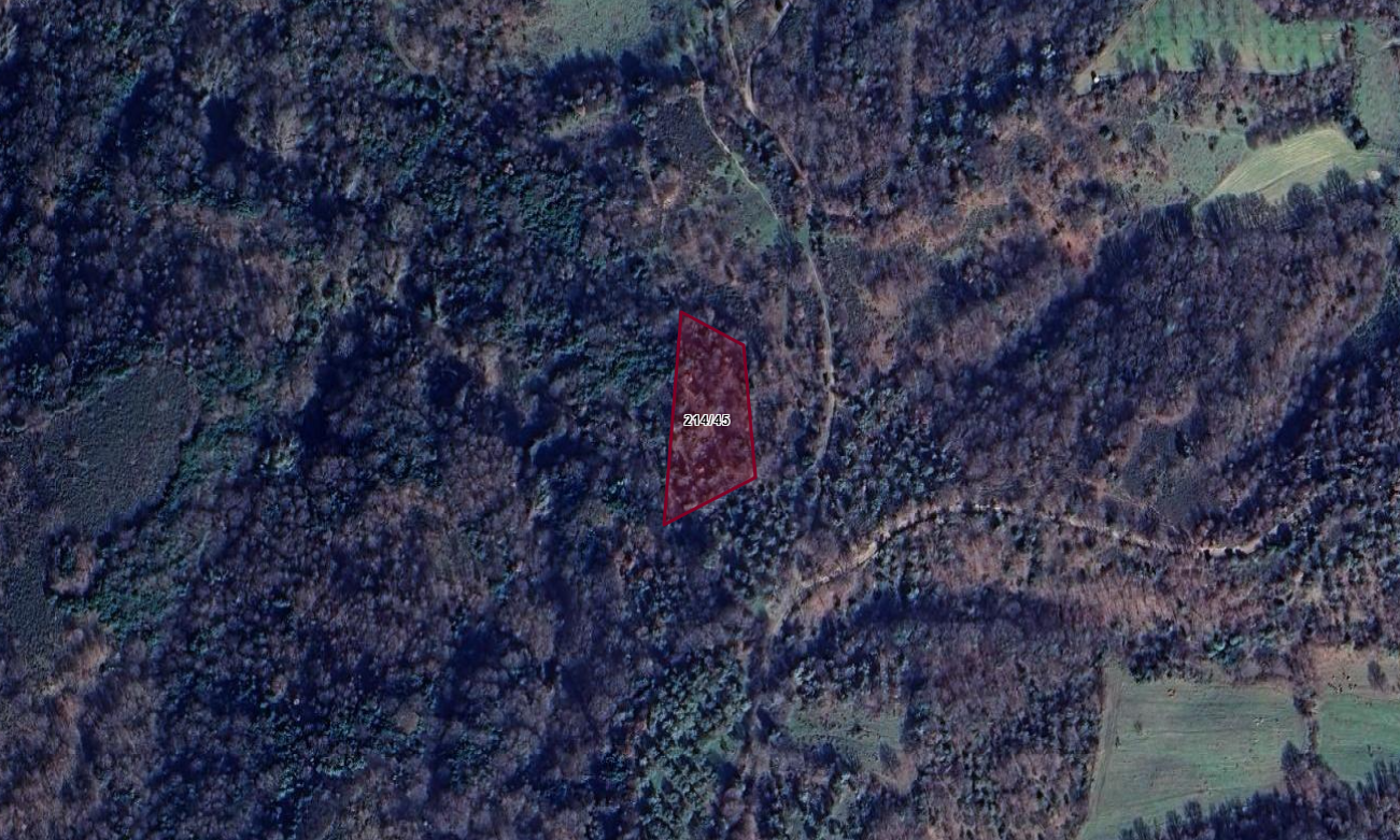 ÇANAKKALE LAPSEKİ GÜRECİ KÖYÜNDE 2.364M2 ZEYTİNLİK 