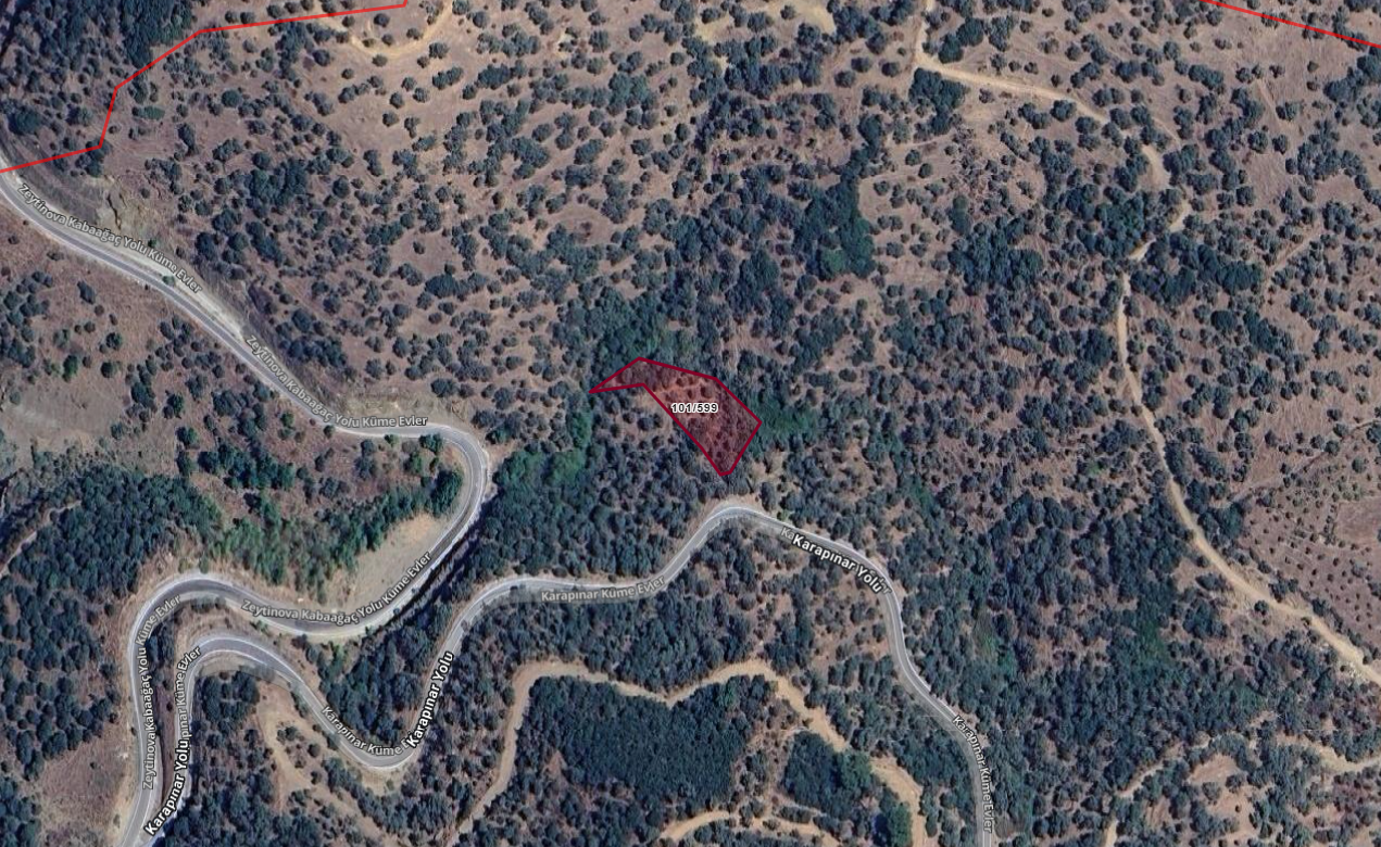 İZMİR BAYINDIR KARAPINARDA  1.359 M2 ZEYTİNLİK
