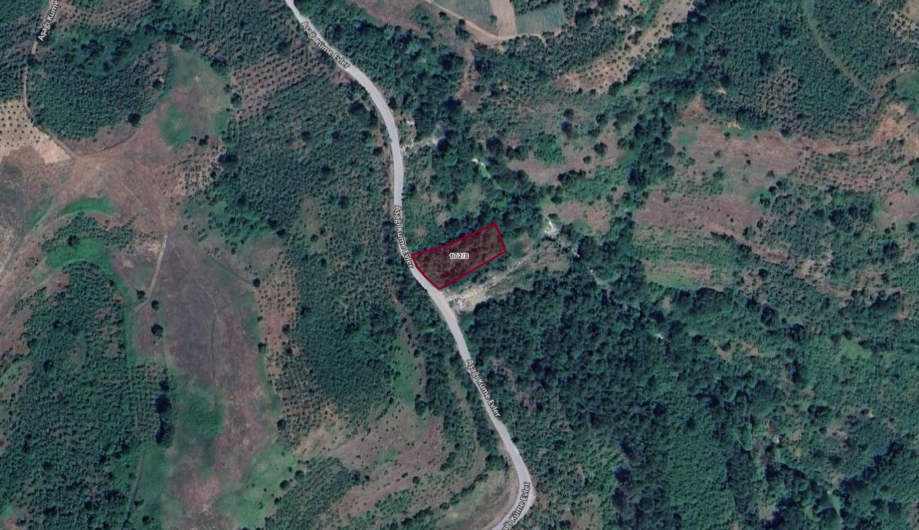 DÜZCE YIĞILCA HACILAR KÖYÜNDE 1.186M2 FINDIK BAHÇESİ 