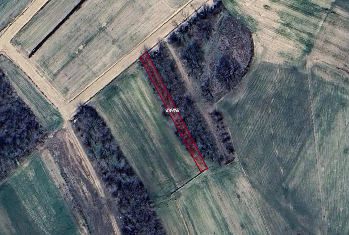 EDİRNE UZUNKÖPRÜ KAVAKAYAZMA KÖYÜNDE 570M2 DUT BAHÇESİ 