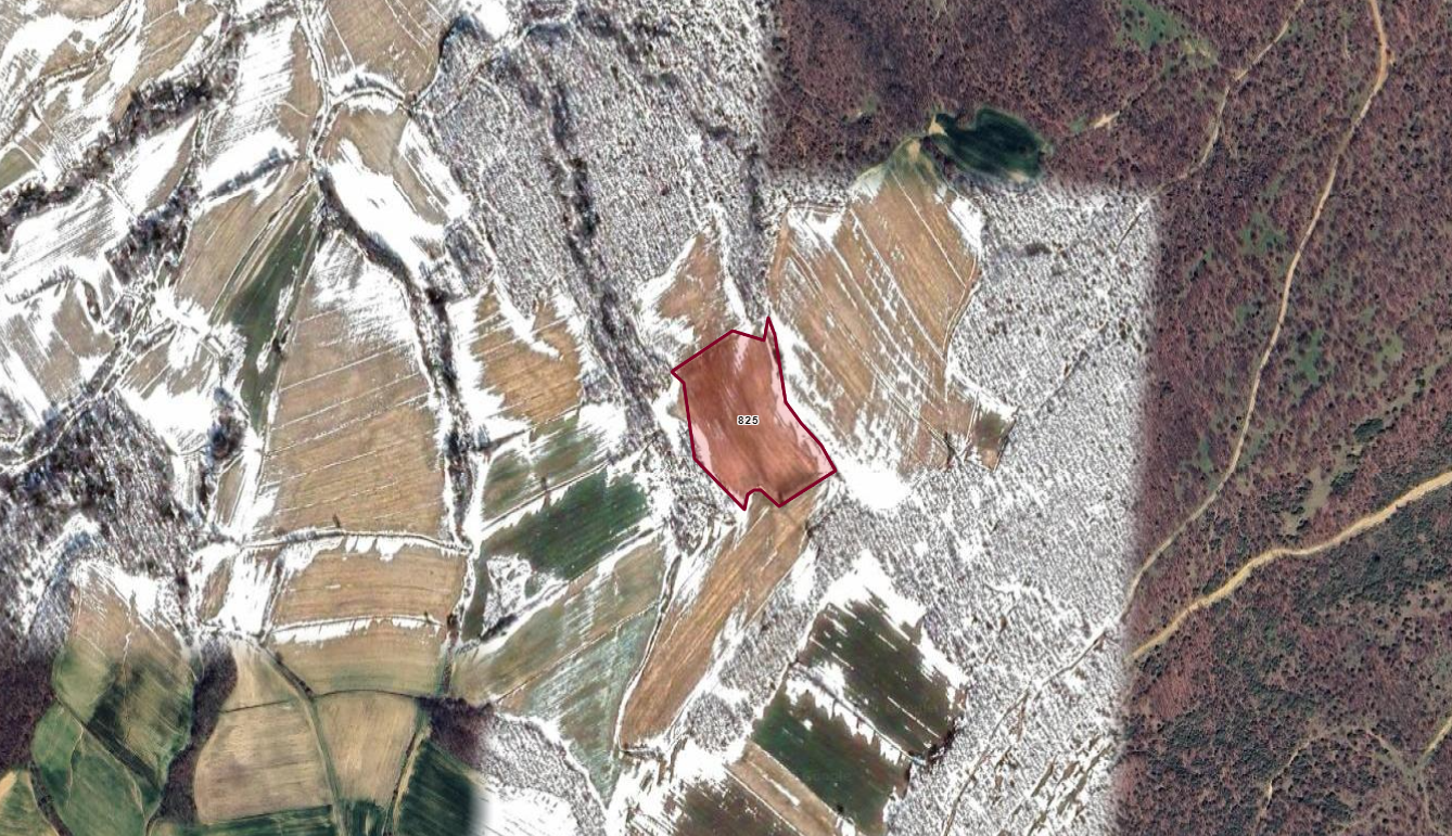 EDİRNE ENEZ KOCAALİDE 11.807M2 SATILIK TARLA 