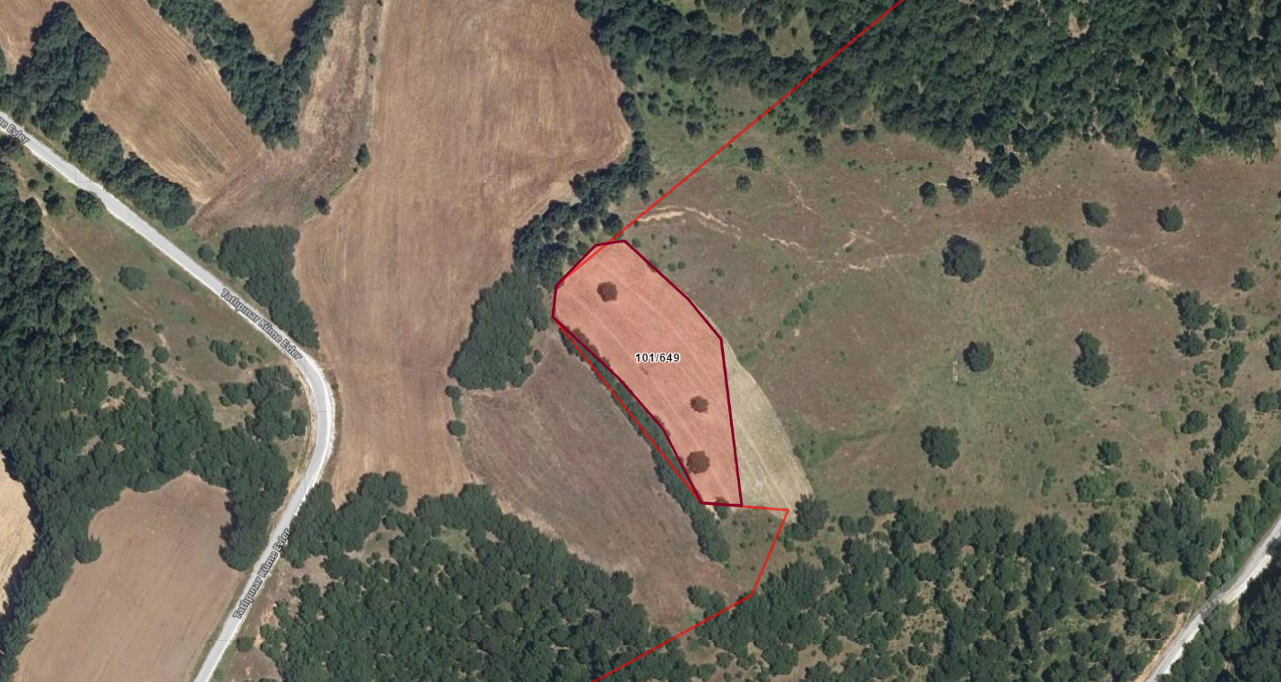 KIRKLARELİ KOFÇAZ TOPÇULARDA 5.933M2 SATILIK TARLA 