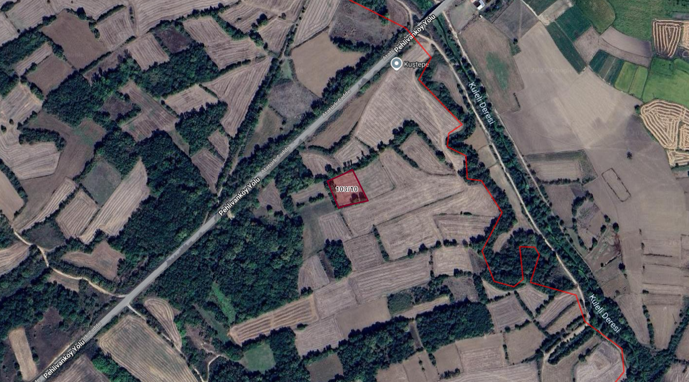 KIRKLARELİ PEHLİVANKÖY KURTULUŞ KÖYÜNDE 3.027M2 TARLA  