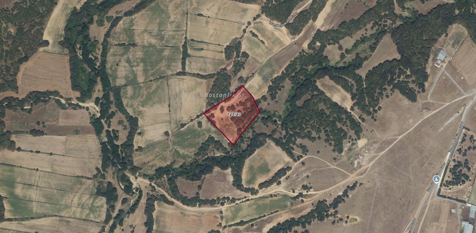 KIRKLARELİ PINARHİSAR İSLAMBEYLİ 13.501M2 TARLA 