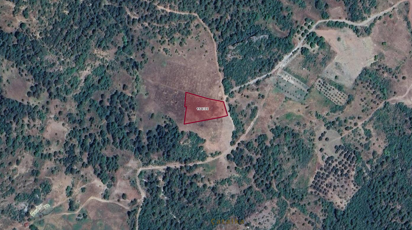 SAKARYA PAMUKOVA ÇİLEKLİDE 2.076M2 BAĞ 