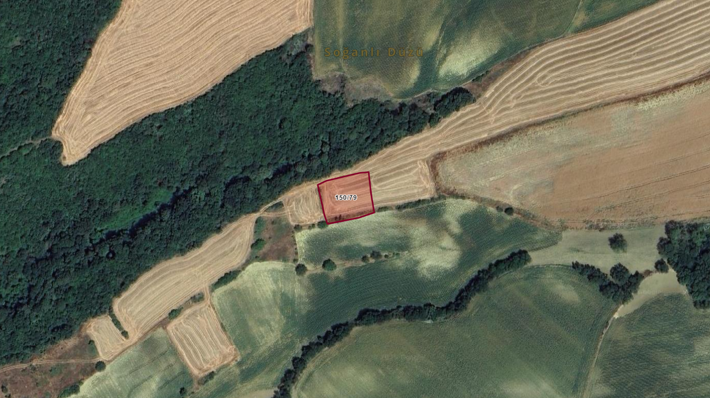 TEKİRDAĞ SÜLEYMANPAŞA ORUÇBEYLİ 1.644M2 SATILIK BAĞ