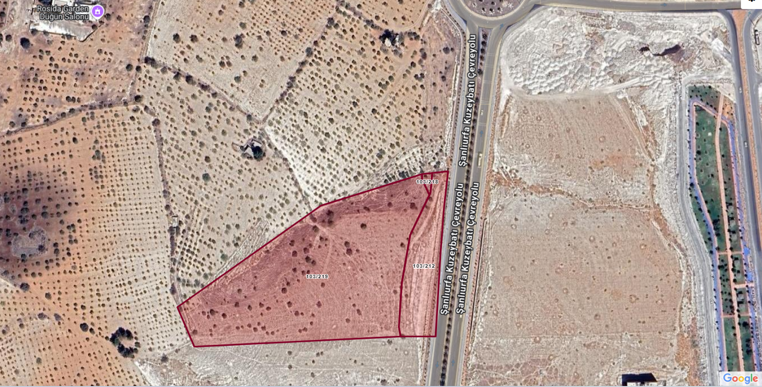 HALİLİYE DEVTEYTŞİNDE 21.476 M2 SATILIK BAĞ 